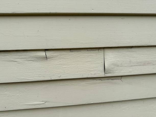 Best Storm Damage Siding Repair  in Beech Grove, IN